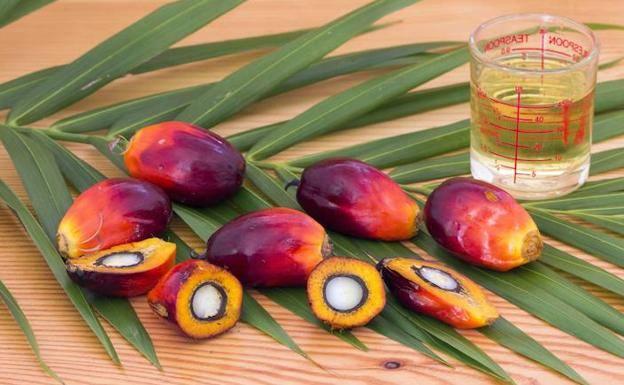 Palma aceite no al de